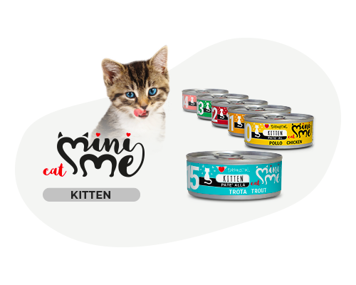 DISUGUAL Mini Me 14 Лосось паштет для котят 85 гр