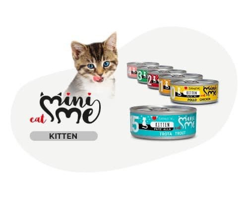 DISUGUAL MINI ME  для котят 11, паштет из индейки 85г