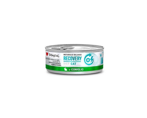 Диетический влажный корм DISUGUAL DIET CAT RECOVERY 85гр с кроликом