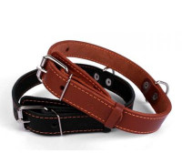 Ошейник «Collar» одинарный, 25мм* 38-50см