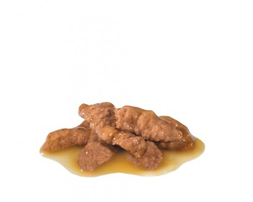 ROYAL CANIN INDOOR GRAVE 85g