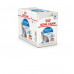 ROYAL CANIN INDOOR GRAVE 85g